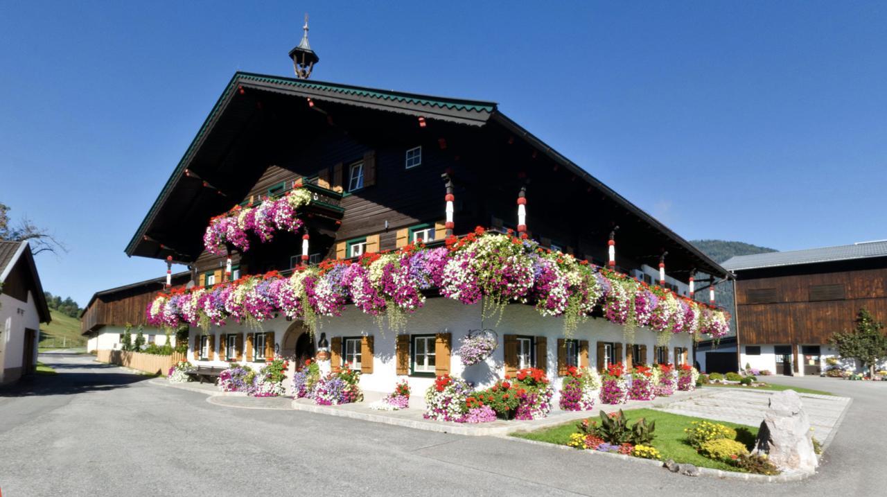 Thomanhof Chalet-Appartement Saalfelden am Steinernen Meer Kültér fotó